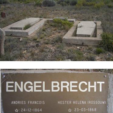 ENGELBRECHT Andries Francois 1864-1954 &amp; Hester Helena ROSSOUW 1868-1959