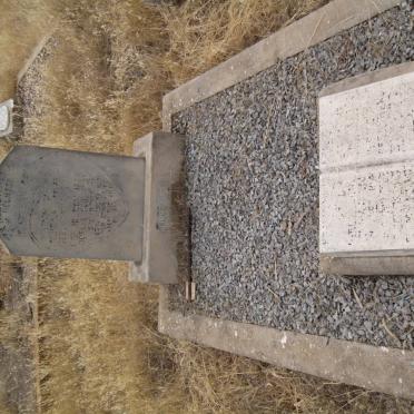 MOSTERT Johanna Marthina Albertha nee VAN WIELLIGH 1865-1960 :: ??