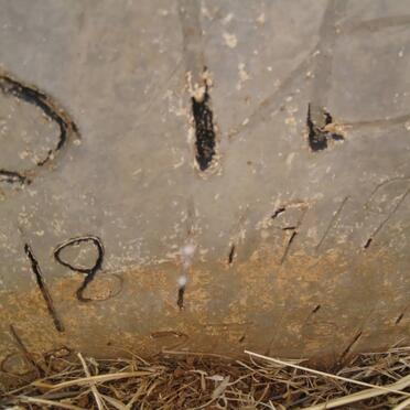 SYSTER Andries 1919-??