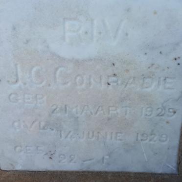 CONRADIE J.C. 1929-1929