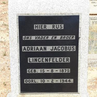 LINGENFELDER Adriaan Jacobus 1875-1944
