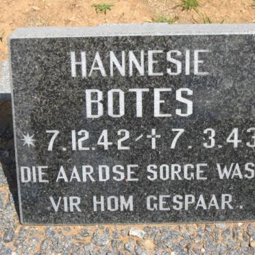 BOTES Hannesie 1942-1943