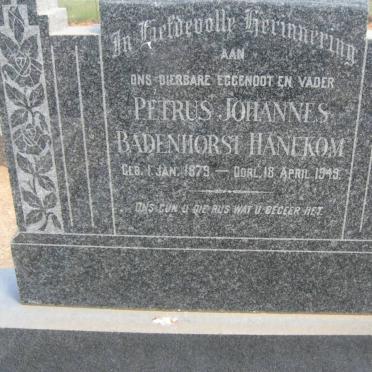 HANEKOM Petrus Johannes Badenhorst 1879-1949