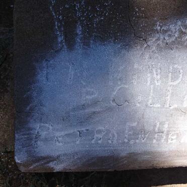 CILLIERS P. :: CILLIERS Petro :: CILLIERS Hennie