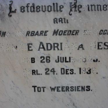 NESER Rensie Adriana 1893-1938
