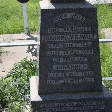 WALT Johanna, v.d. 1891-1926 :: V.D. WALT Johannes 1919-1919 