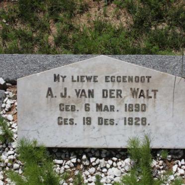 WALT A.J., van der 1890-1928