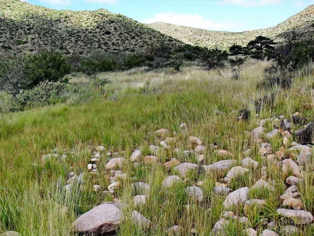 2. Oorsig / Overview