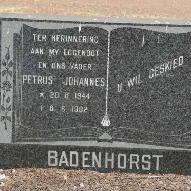 BADENHORST Petrus Johannes 1944-1982