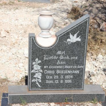 BRIEDENHANN Chris 1934-1996