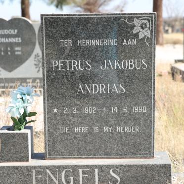 ENGELS Petrus Jakobus Andrias 1902-1990