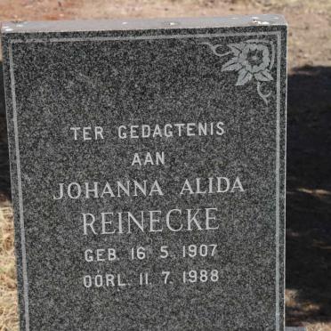 REINECKE Johanna Alida 1907-1988