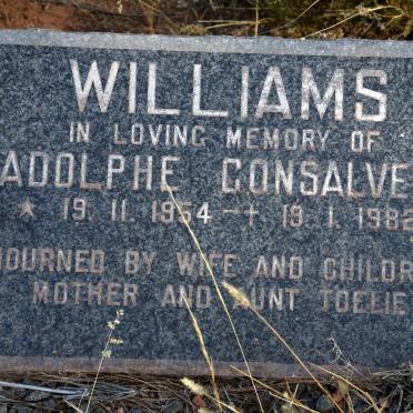 WILLIAMS Adolphe Gonsalves 1954-1982