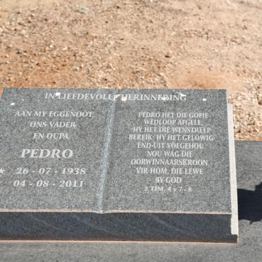 ? Pedro 1938-2011