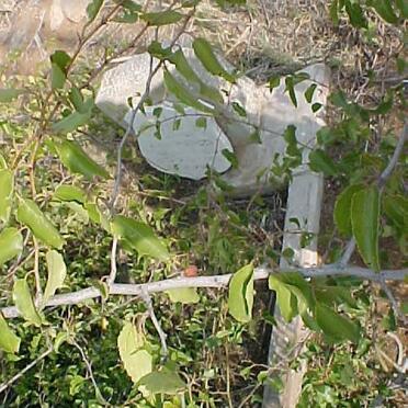 STADEN J.F., van 1892-1950