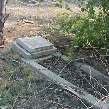 SCHULTZ Johannes Petrus 1871-1950 