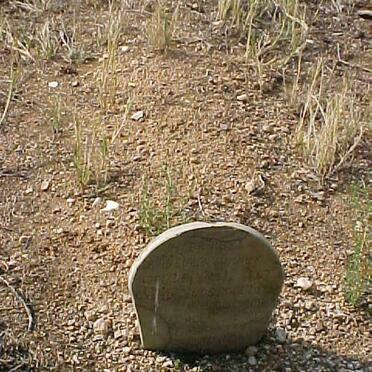 WYK David Simon, van 1867-1921