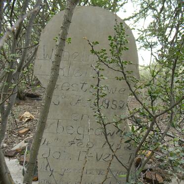 KLEIN Wilhelmina -1952