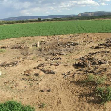 2. Overview on cemetery