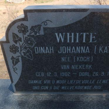 WHITE Dinah Johanna formerly VAN NIEKERK nee KOCH 1902-1979