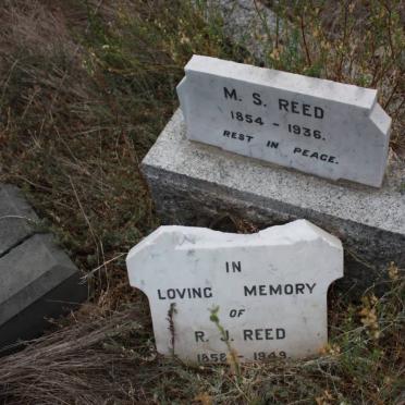 REED R.J. 1858-1949 &amp; M.S. 1854-1936