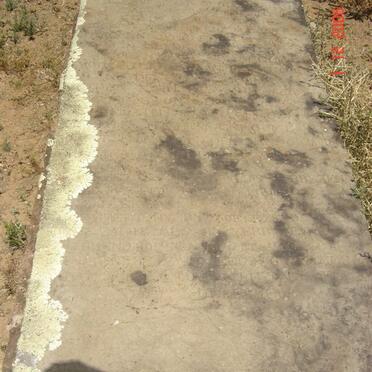 ? Cicilia Anna Maria 1830 - 1868