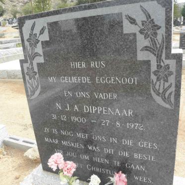 DIPPENAAR N.J.A. 1900-1972