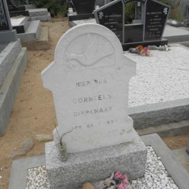 DIPPENAAR Corneels 1937-
