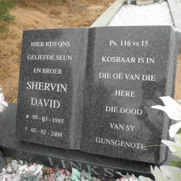 LINKS Shervin David 1985-2008