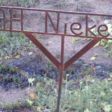 NIEKERK A.H.
