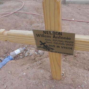 NELSON Willem Antonie 1929-2012