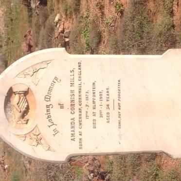 MILLS Amanda Cornish 1873-1907