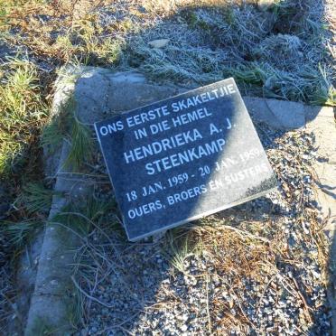 STEENKAMP Hendrieka A.J. 1959-1959