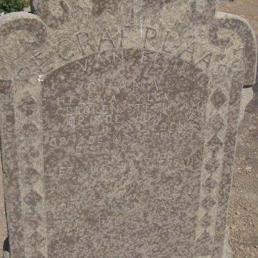 VLOK Elsie Johanna Helena nee STEENKAMP 1862-1926
