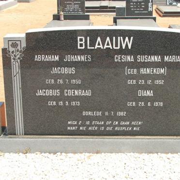 BLAAUW :: HANEKOM
