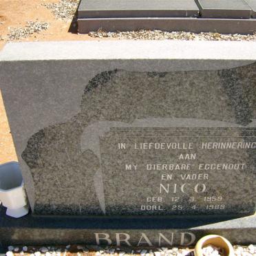 BRAND Nico 1959-1989