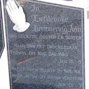 ZYL Nellien, van 1969-1987