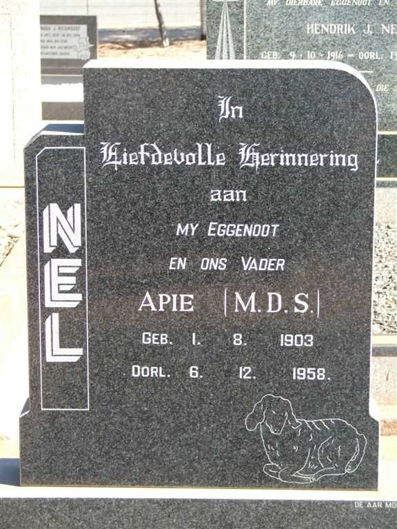 NEL M.D.S. 1903-1958