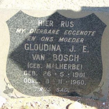 BOSCH Gloudina J.E. nee MALHERBE 1901-1960