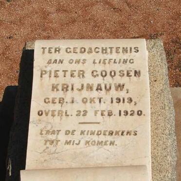 KRIJNAUW Pieter Goosen 1919-1920