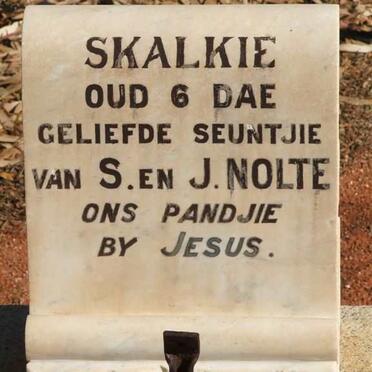 NOLTE Skalkie