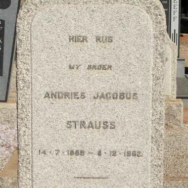 STRAUSS Andries Jacobus 1889-1962