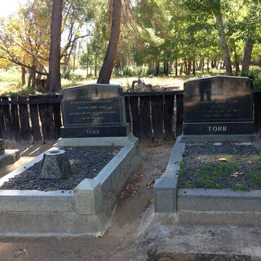 TORR William Harry -1949 :: TORR Winifred Jessie nee FILMER 1895-1974