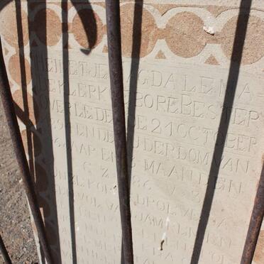 KLERK Heiletje Magdalena, de nee BESTER -1894