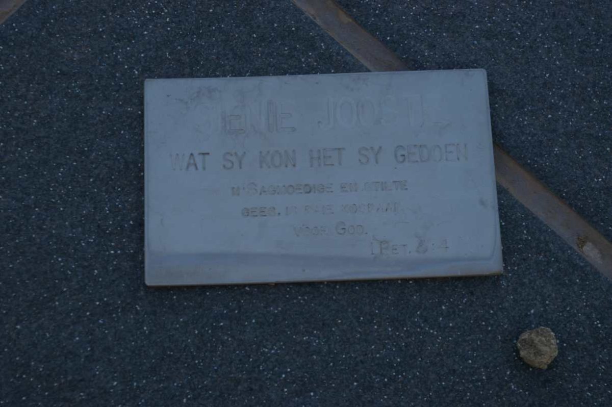 JOOSTE Sienie