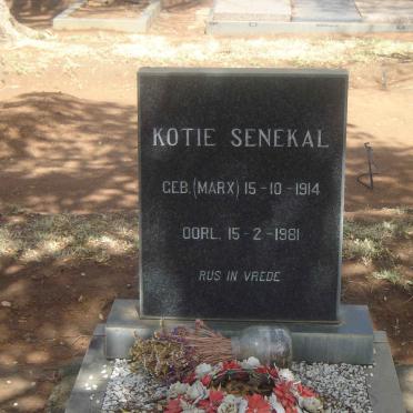 SENEKAL Kotie