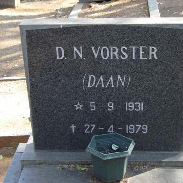VORSTER D N