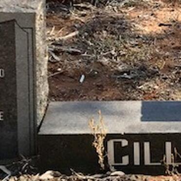 CILLIÉ Daniël Gerhardus 1882-1970 &amp; Catrina Elizabeth 1893-1974