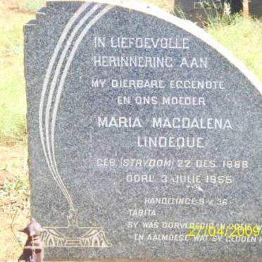 LINDEQUE Maria Magdalena nee STRYDOM 1888-1955
