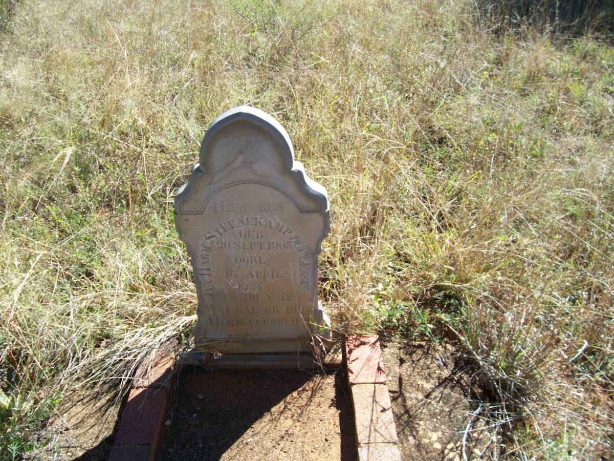 STEENKAMP ? 1905-1934